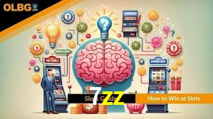 7zz,7zz bet