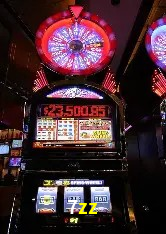 7zz,7zz bet